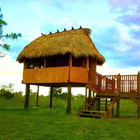 Everglades Chickee Cottage & Bungalow - Ochopee Zewnętrze zdjęcie