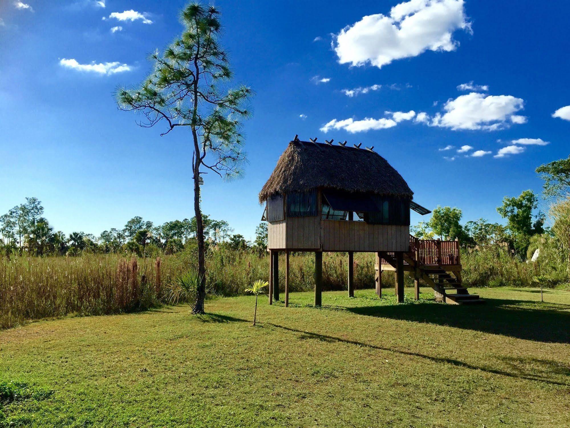Everglades Chickee Cottage & Bungalow - Ochopee Zewnętrze zdjęcie